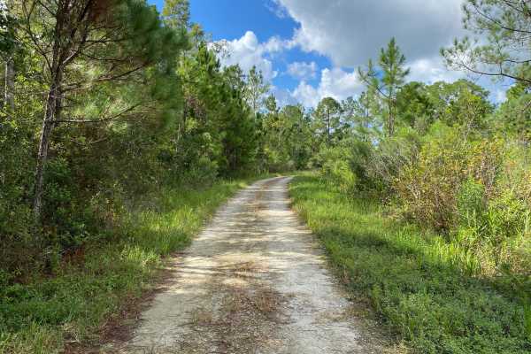 Lake Road