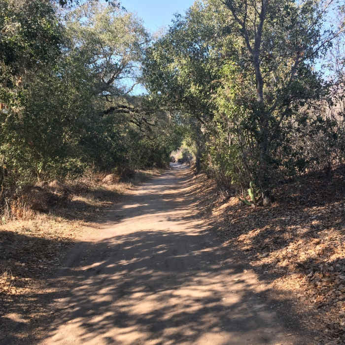 Near Upper Laurel Canyon Trail