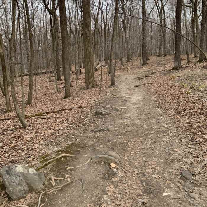 Near High Mountain Preserve Loop