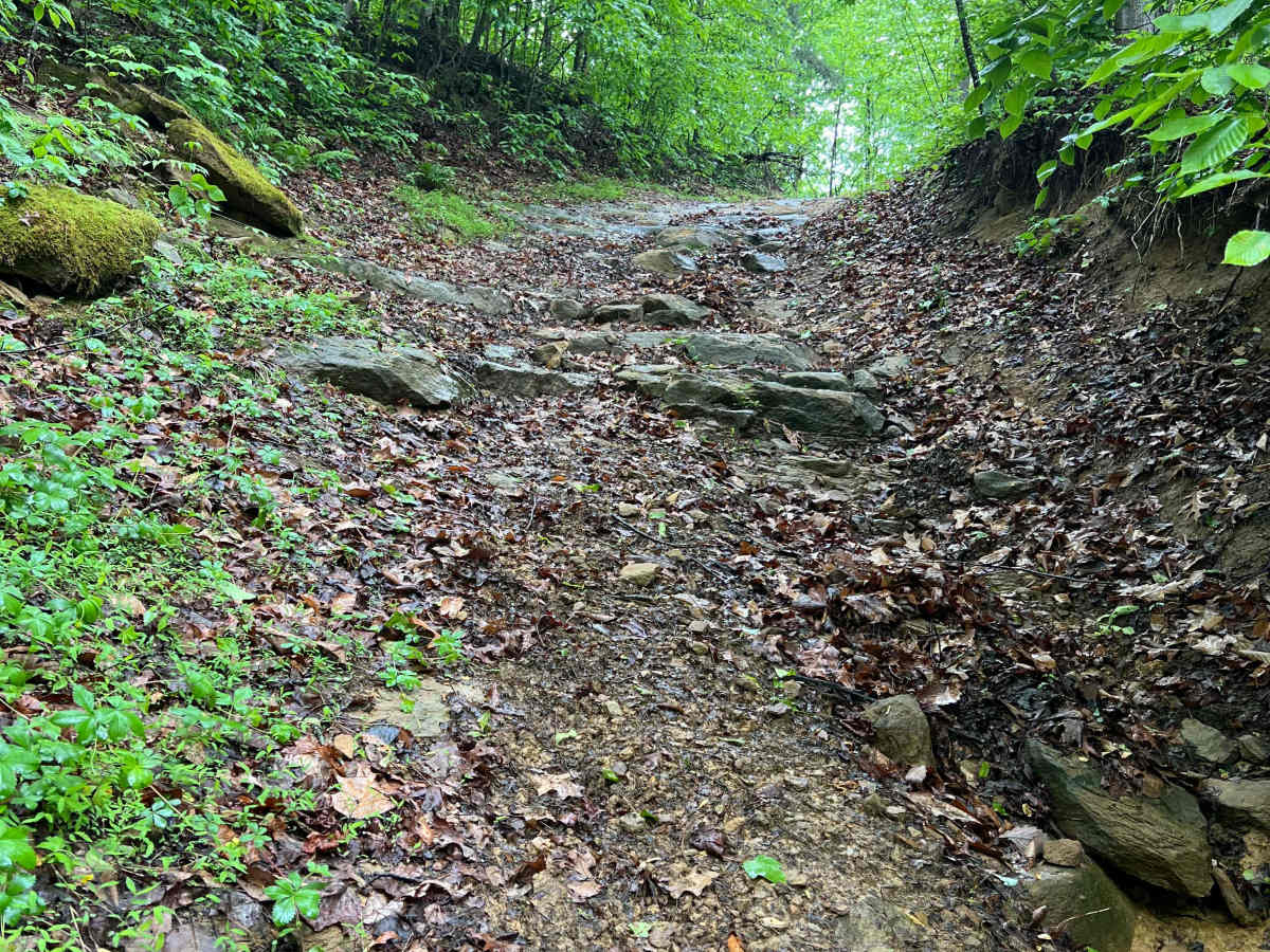 Q69 trail photo