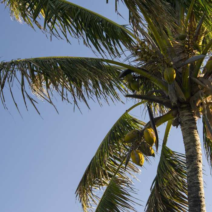 Near Kuloa Point Near Kuloa Point