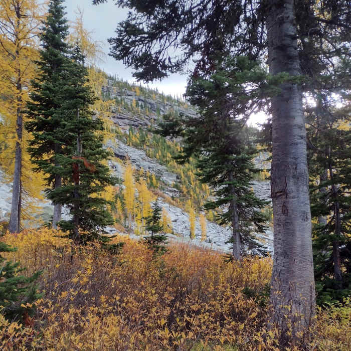 Near Roman Nose Lakes Accessible Trail