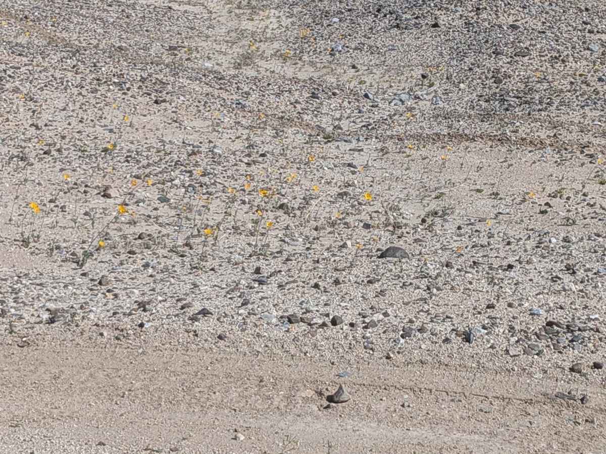 BLM 189 photo 5