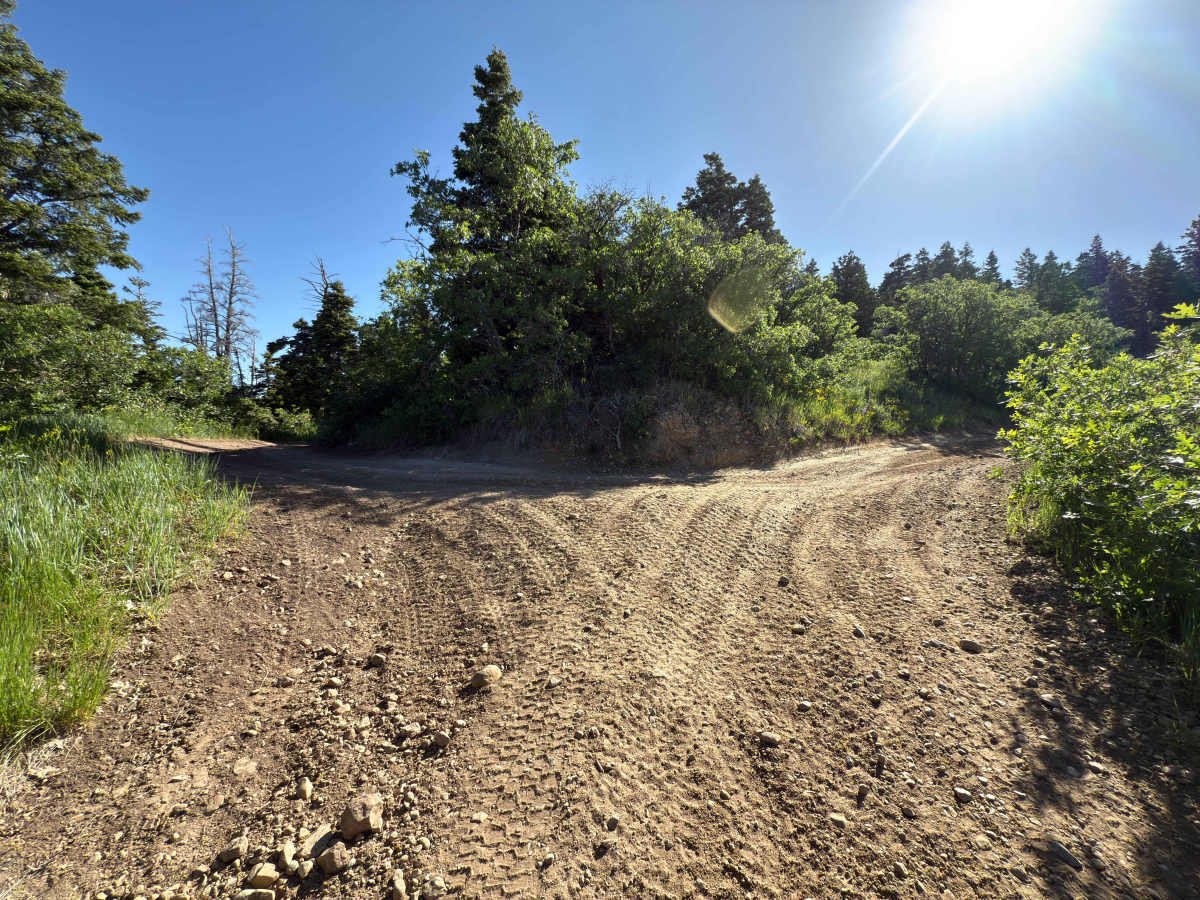 Death Hollow - 50148 trail photo