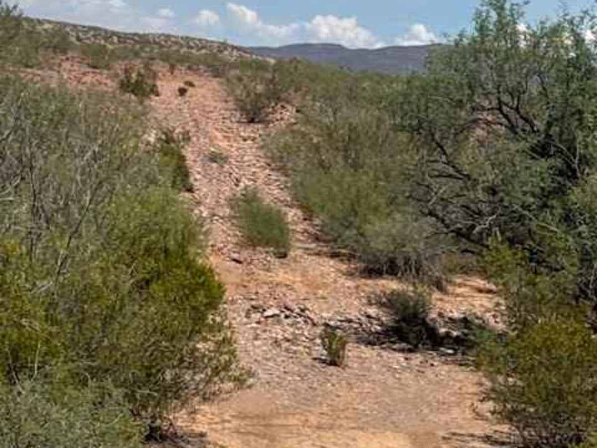 BLM PE1122 photo 6