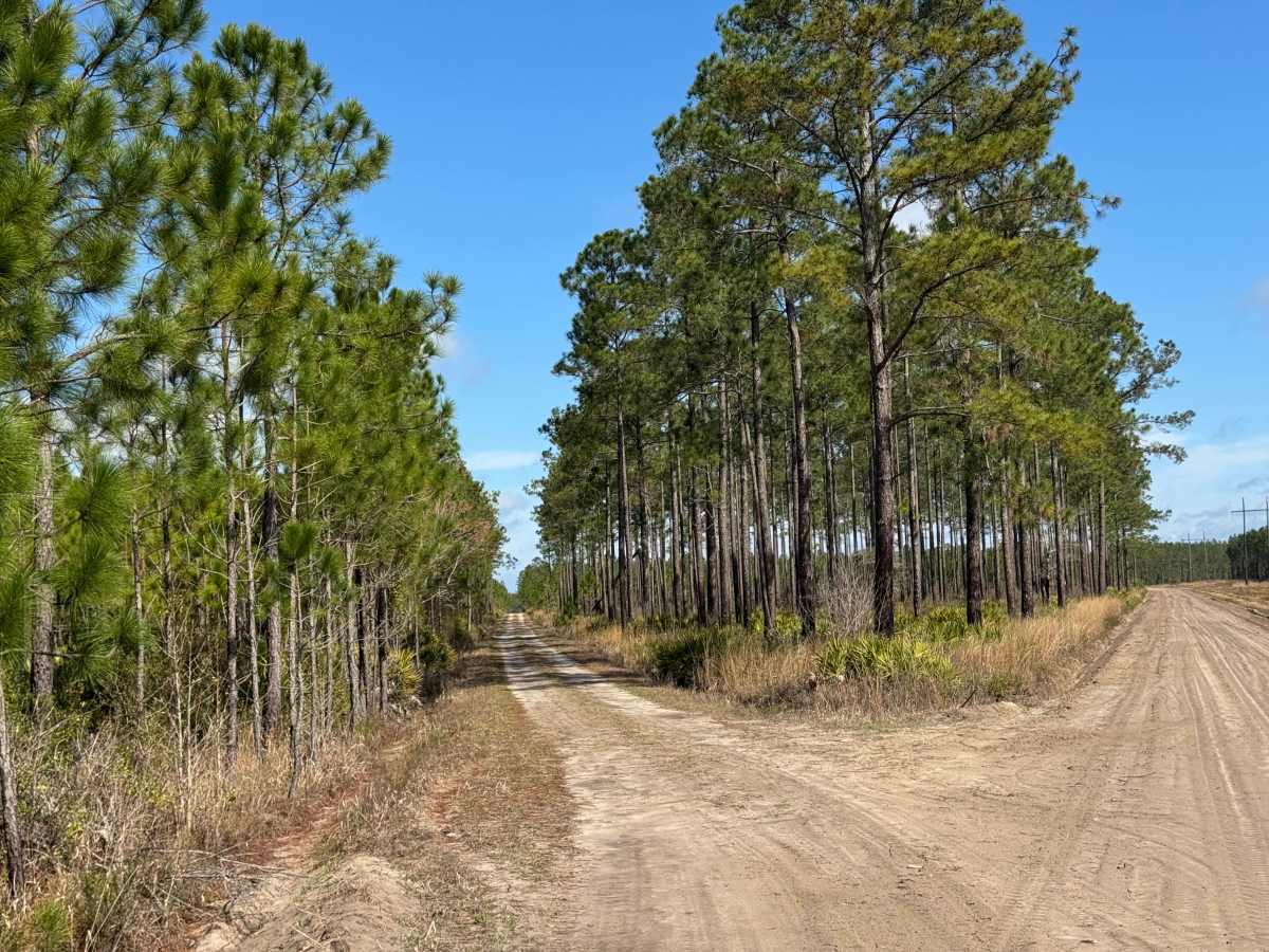 Church Road trail photo