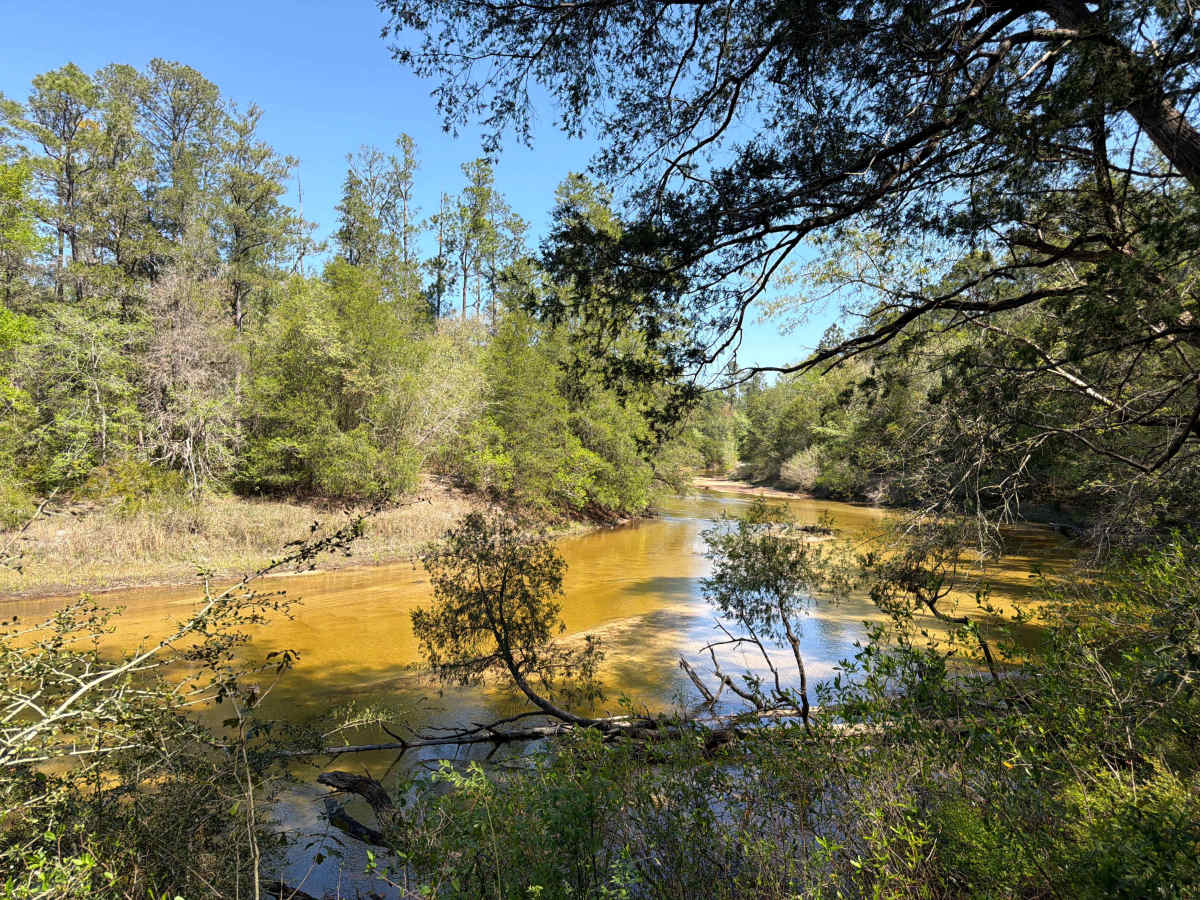 Penny Creek Road photo 3