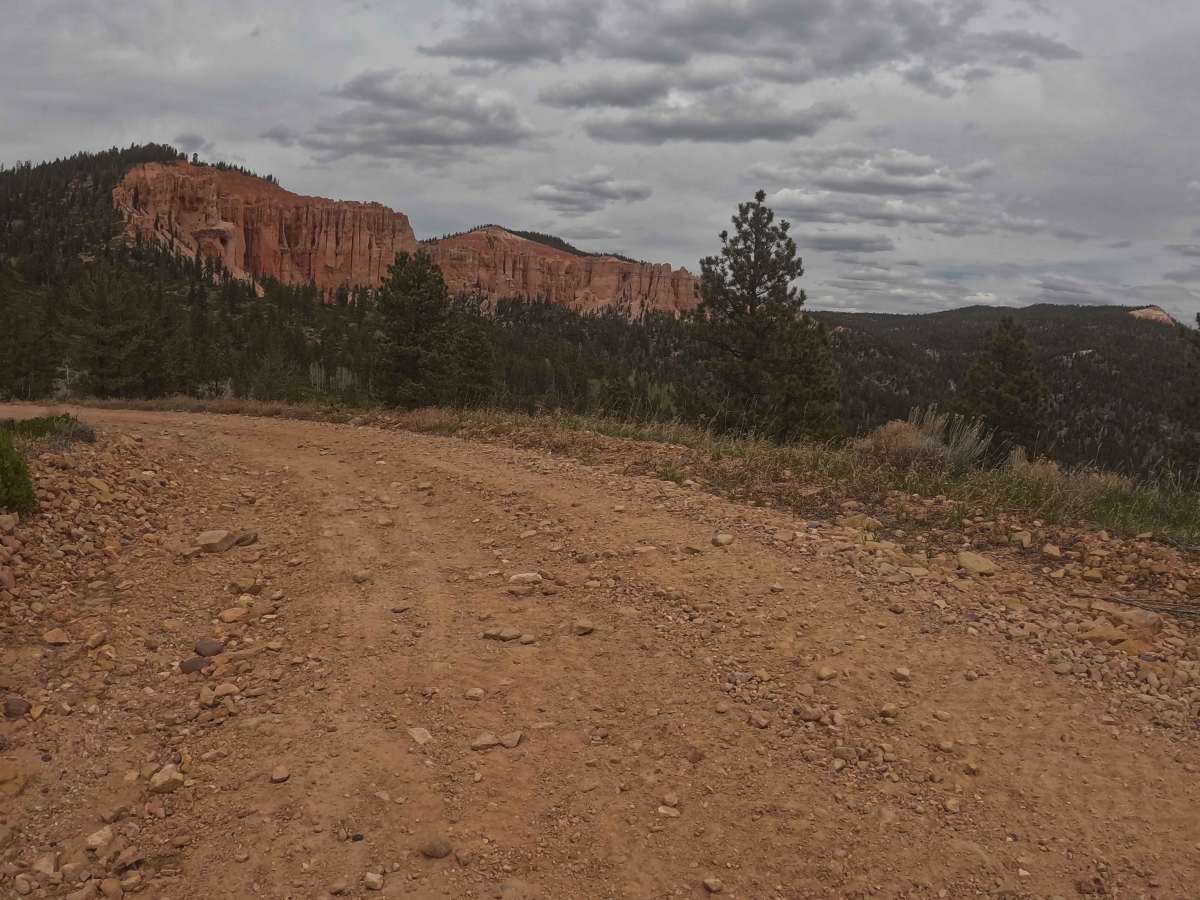 Proctor Canyon - FS 30109 photo 5