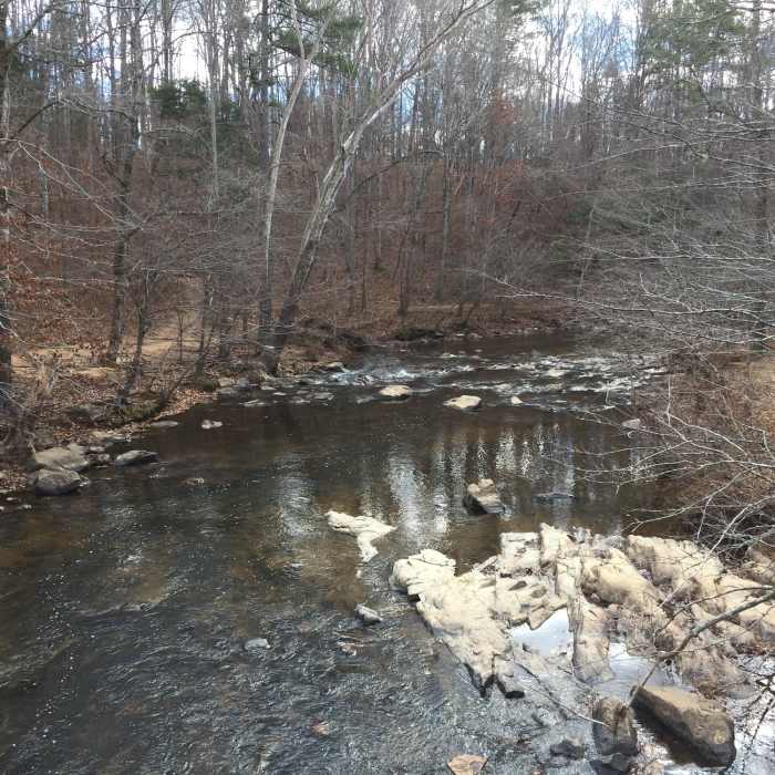 Near Cox Mountain Trail