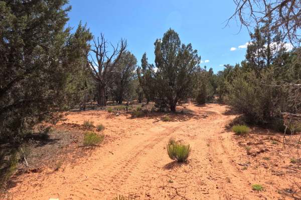 BLM 46H Spur