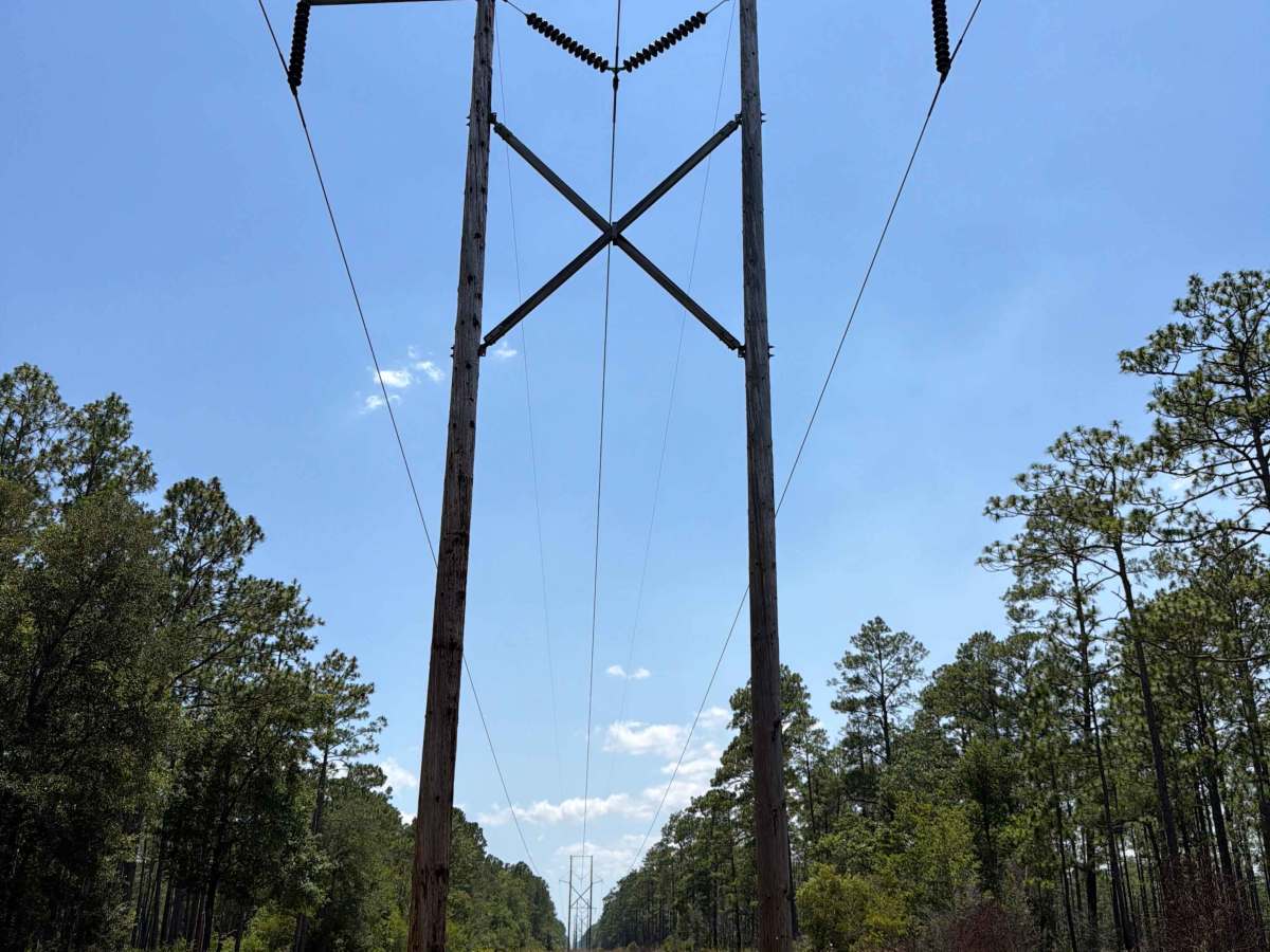 Powerline - FS 365J trail photo