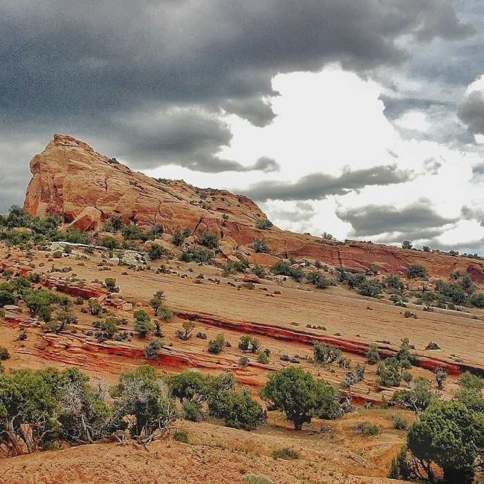 Near Dinosaur Trackway Trail