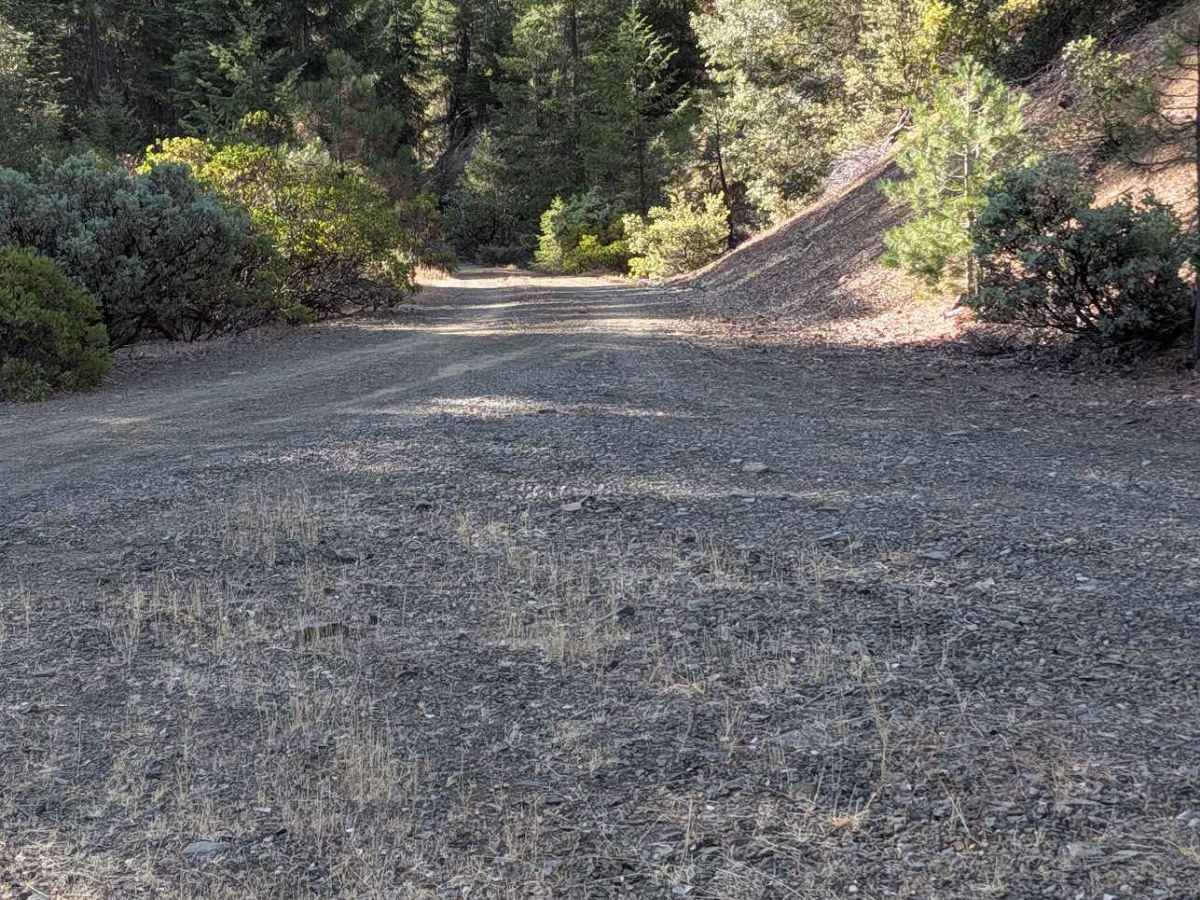 Rail Gulch Road - FS 2N11 trail photo