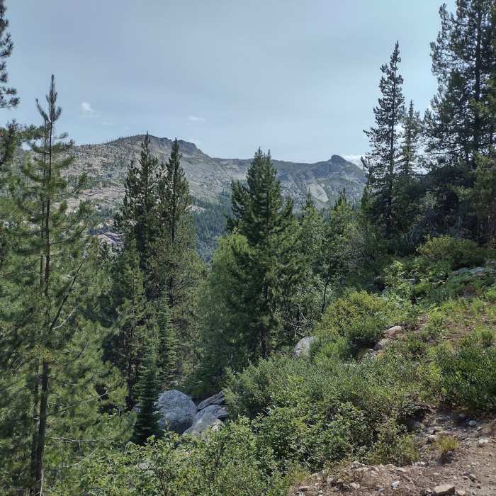 Near Fault Lake Trail #59