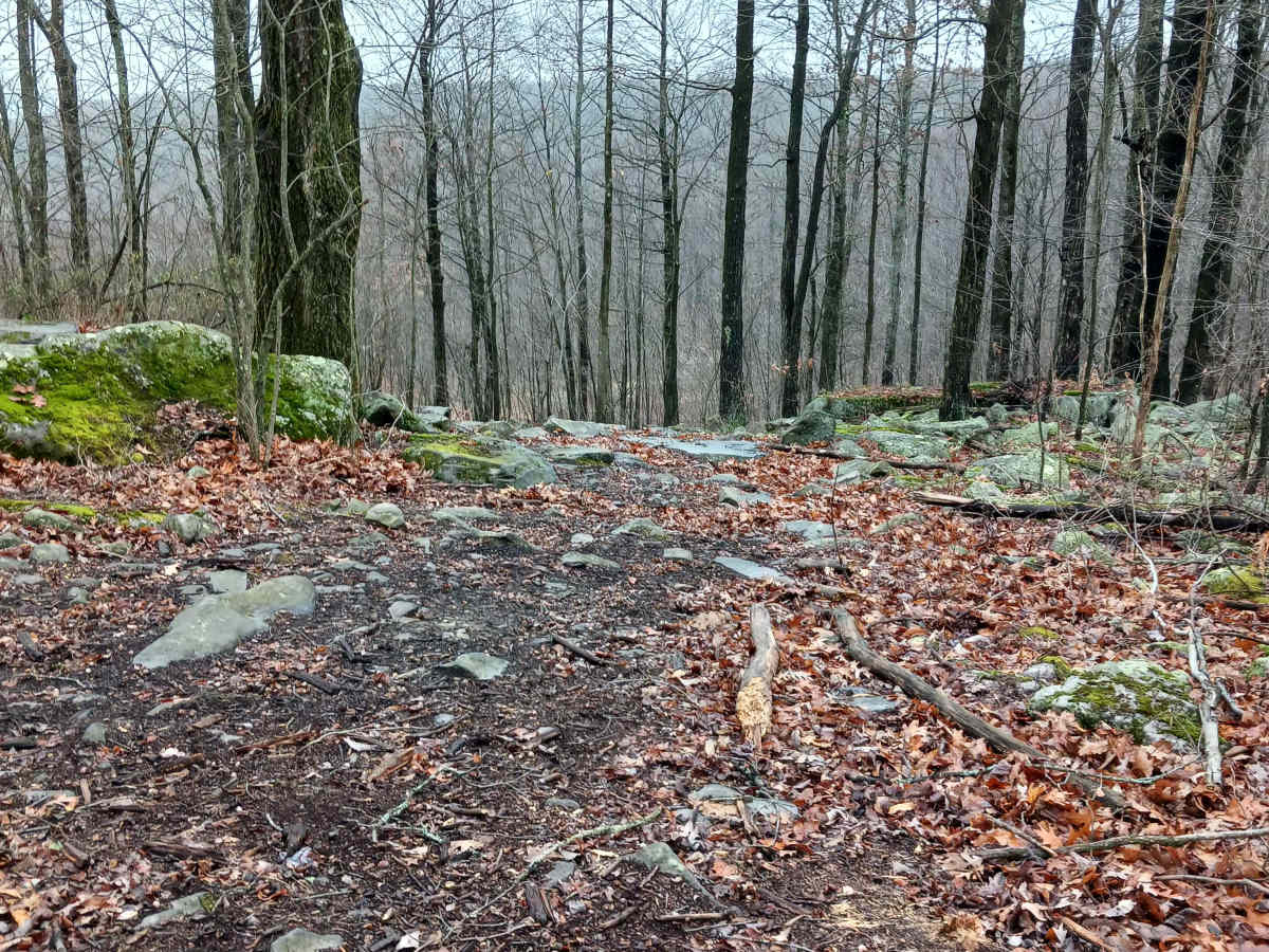 OHV 29 - Rock Run Recreation Area photo 2
