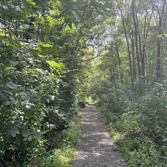 Near East Mountain Loop Near East Mountain Loop