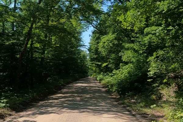 County Road EEM