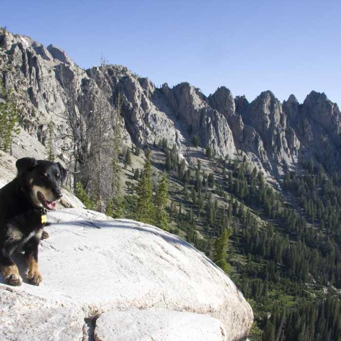 Near Alpine + Sawtooth Lakes, Iron Creek Drainage