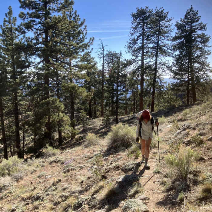 Near North Fork Lockwood Trail