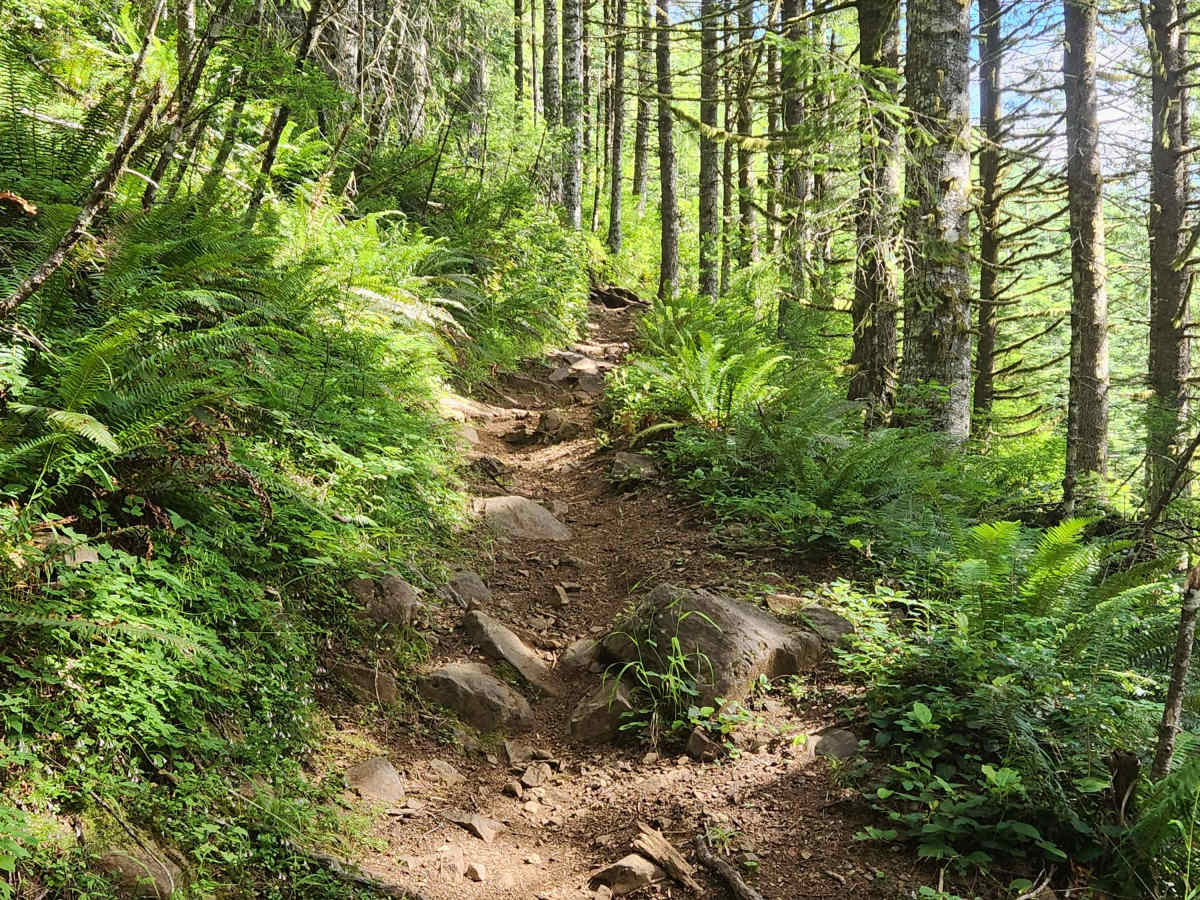 Capitol Peak photo 6