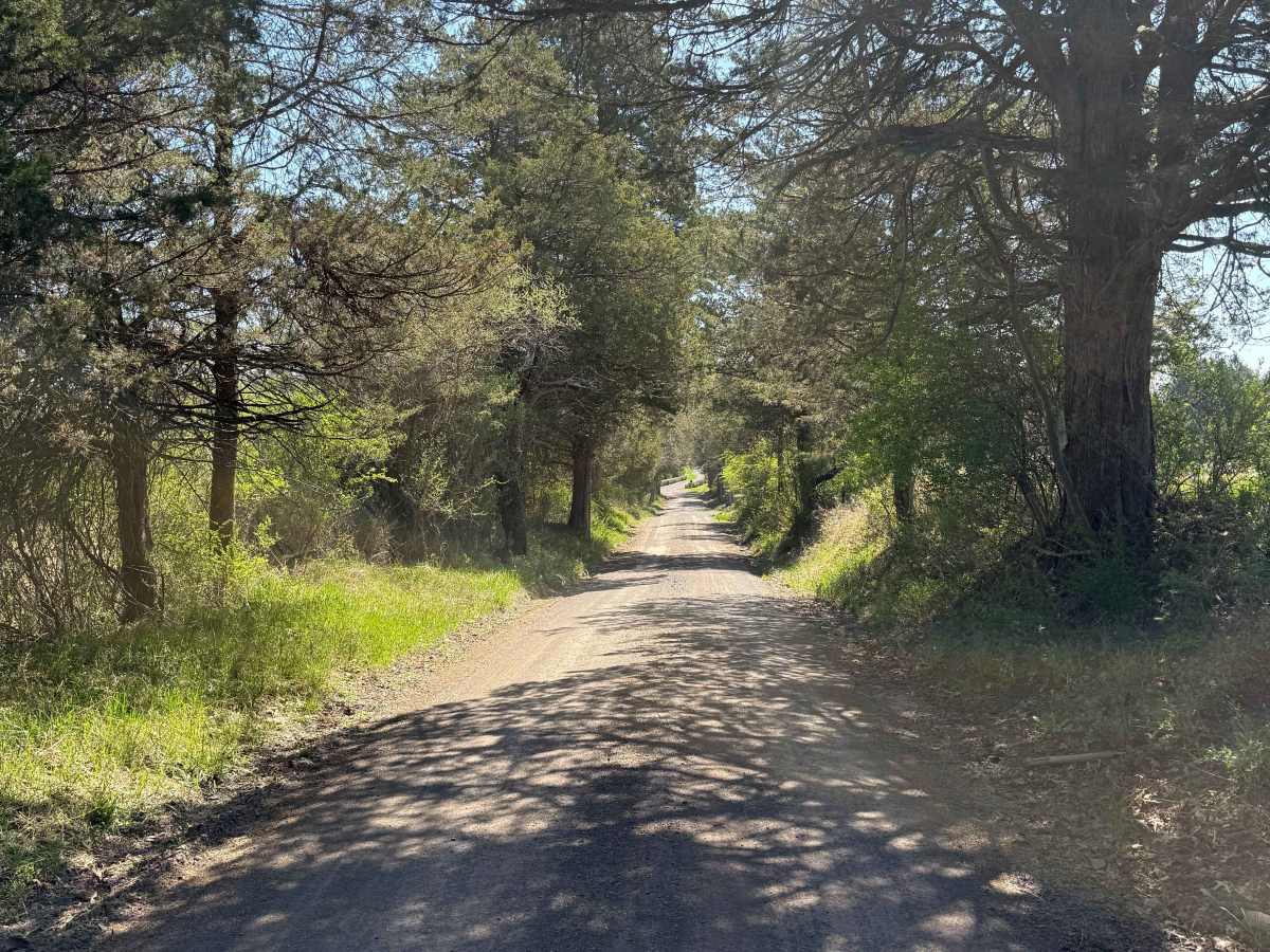 Permanent School Road photo 5