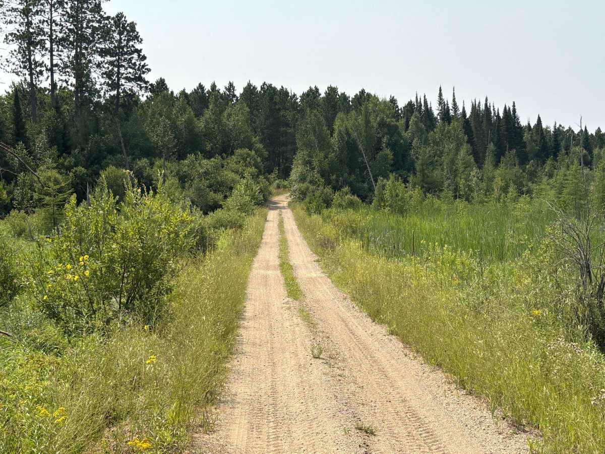 Forest Road 0402 photo 6