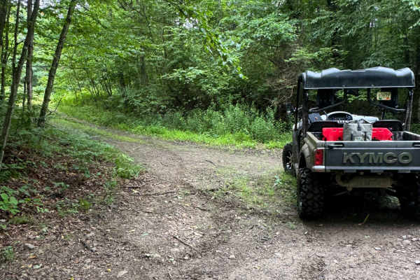Trail 65