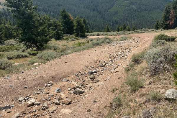 Barton Gulch and Offshoots