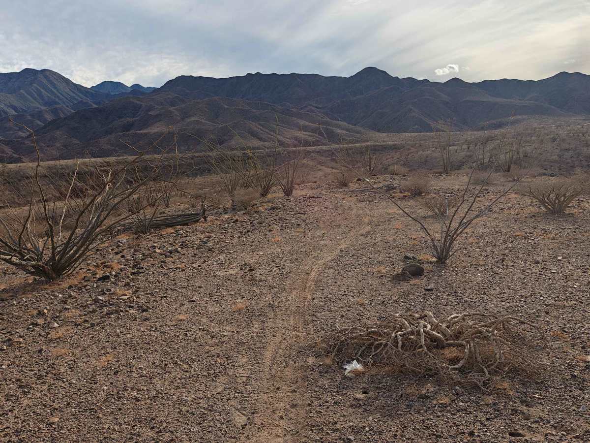 BLA Side Route - Single Track photo 2