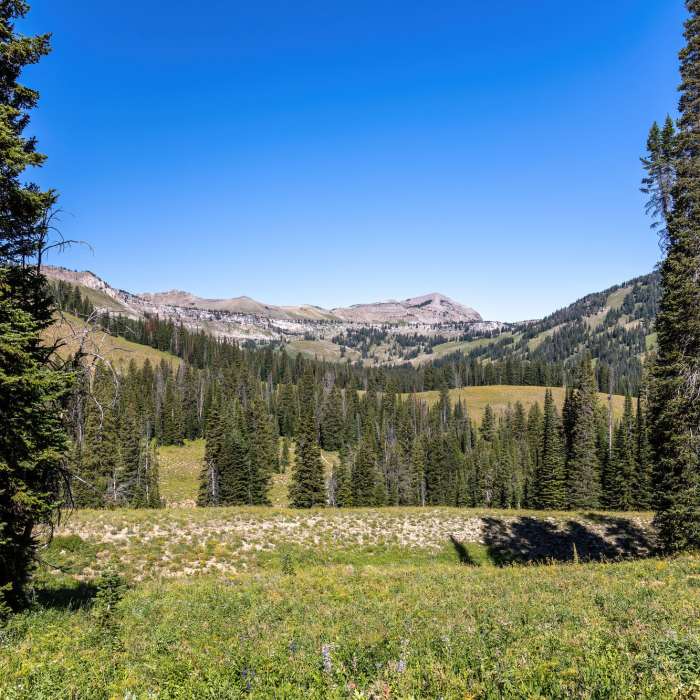 Near Rendezvous Mountain