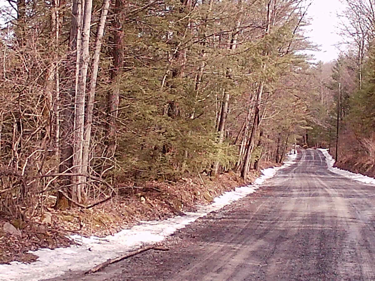 Fourth Gap Road photo 3