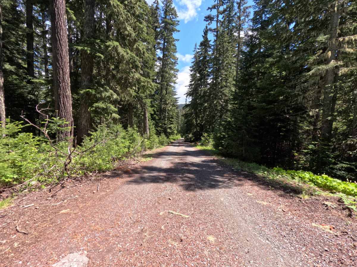 Barlow Butte Road - FS 3560 photo 2