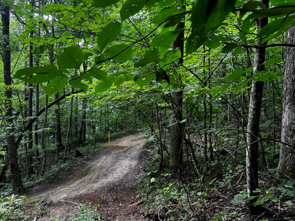 Trail 11B photo 2