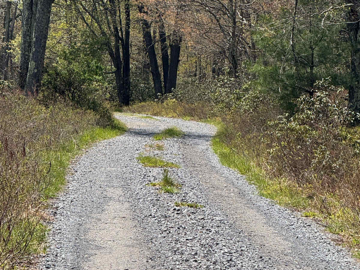 Fisher Road photo 4