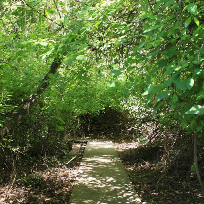 Near Lake Anza Trail