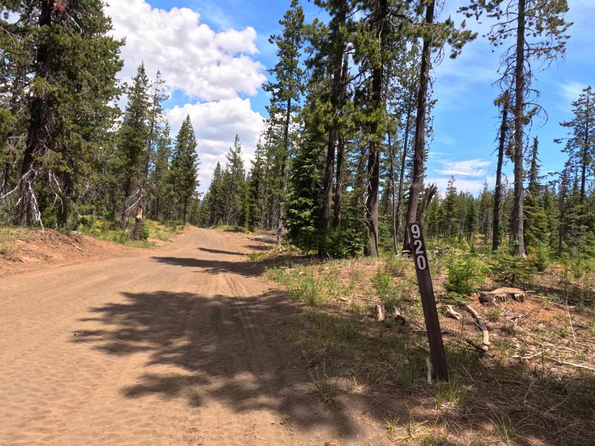 FS 2690-920 Southern Segment trail photo