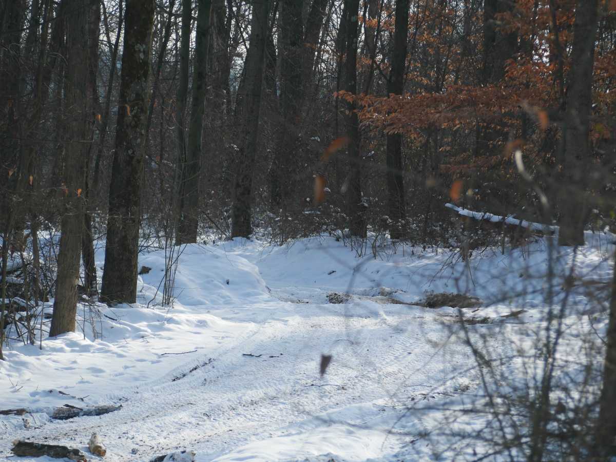 Trail 28 photo 3