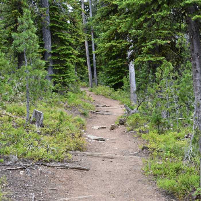 Near Saint Mary Peak