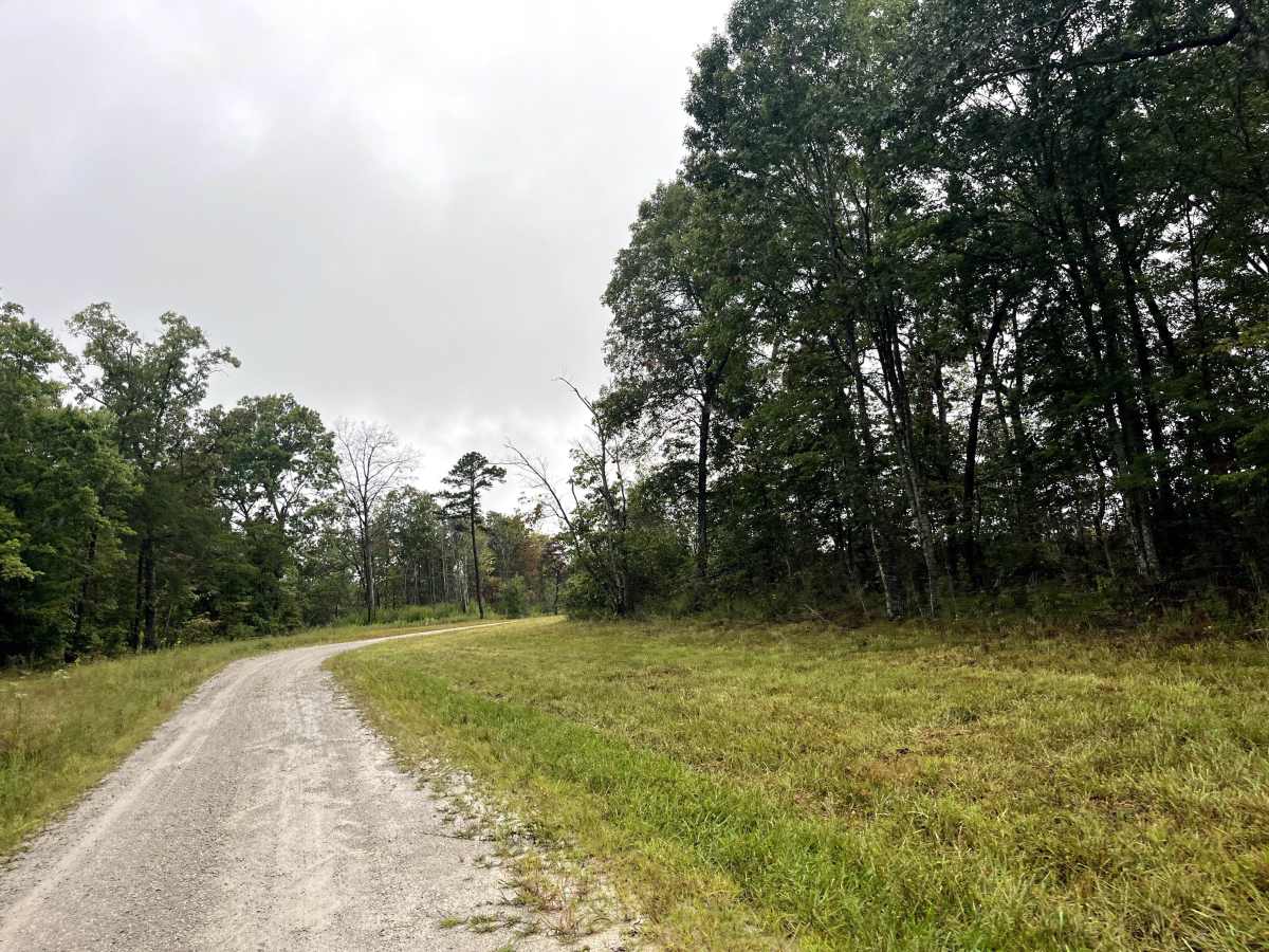 Myatt Creek Road  photo 4
