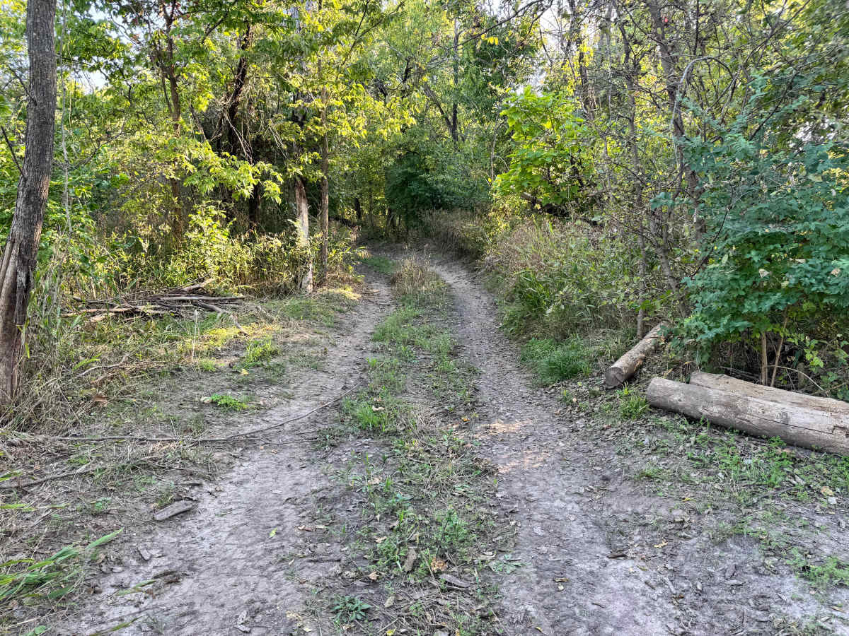 Shade Tree Lane trail photo