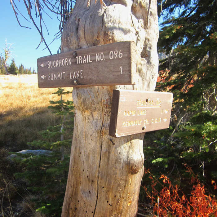 Near North Fork Kennally Creek