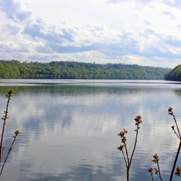 Near Cheat Lake Trail