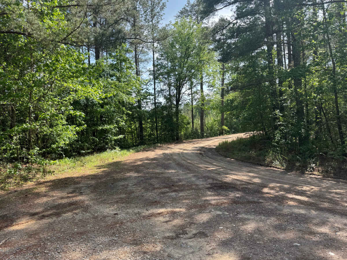 Reids Road photo 4
