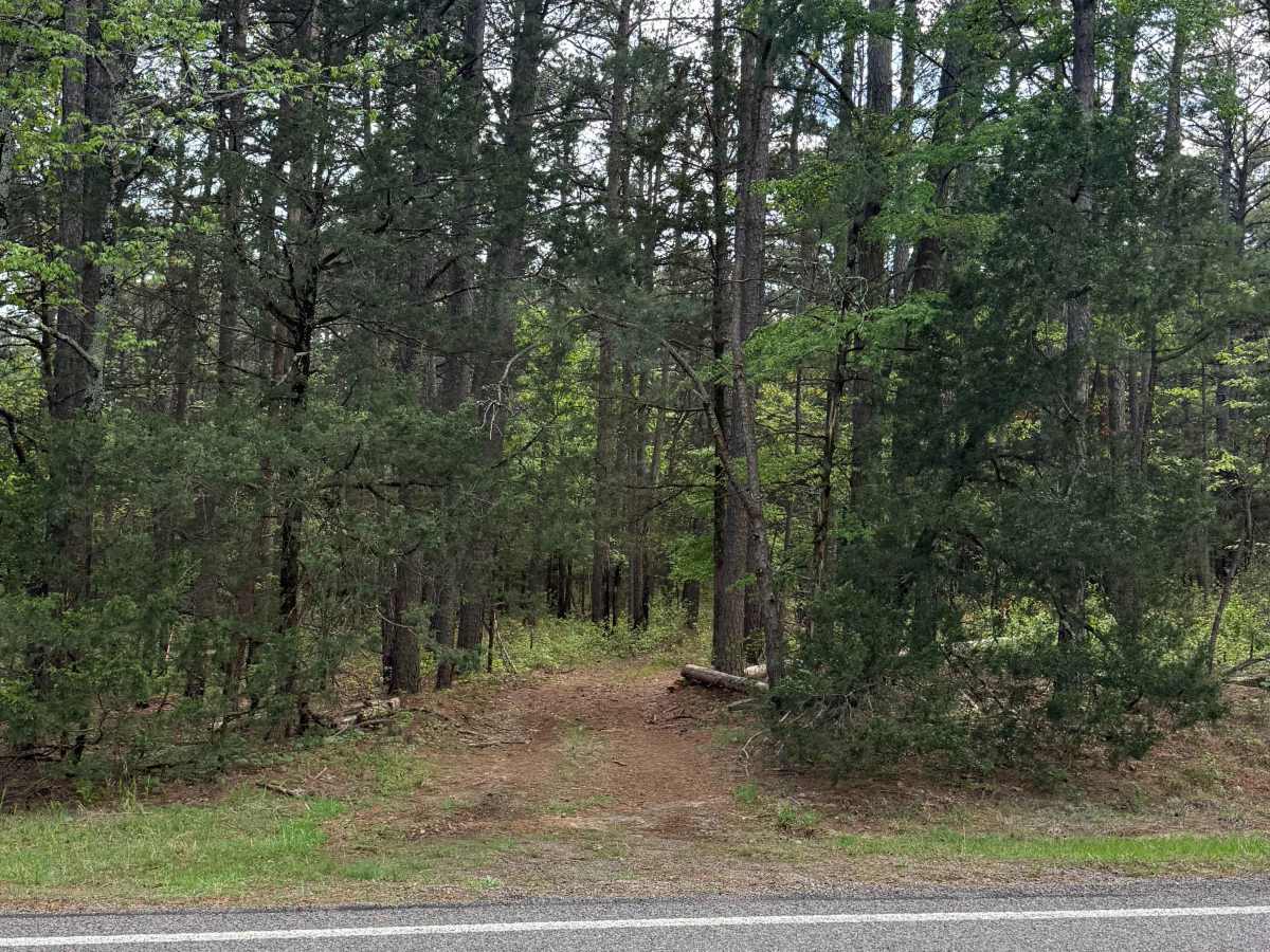 Boney Mountain Trail trail photo