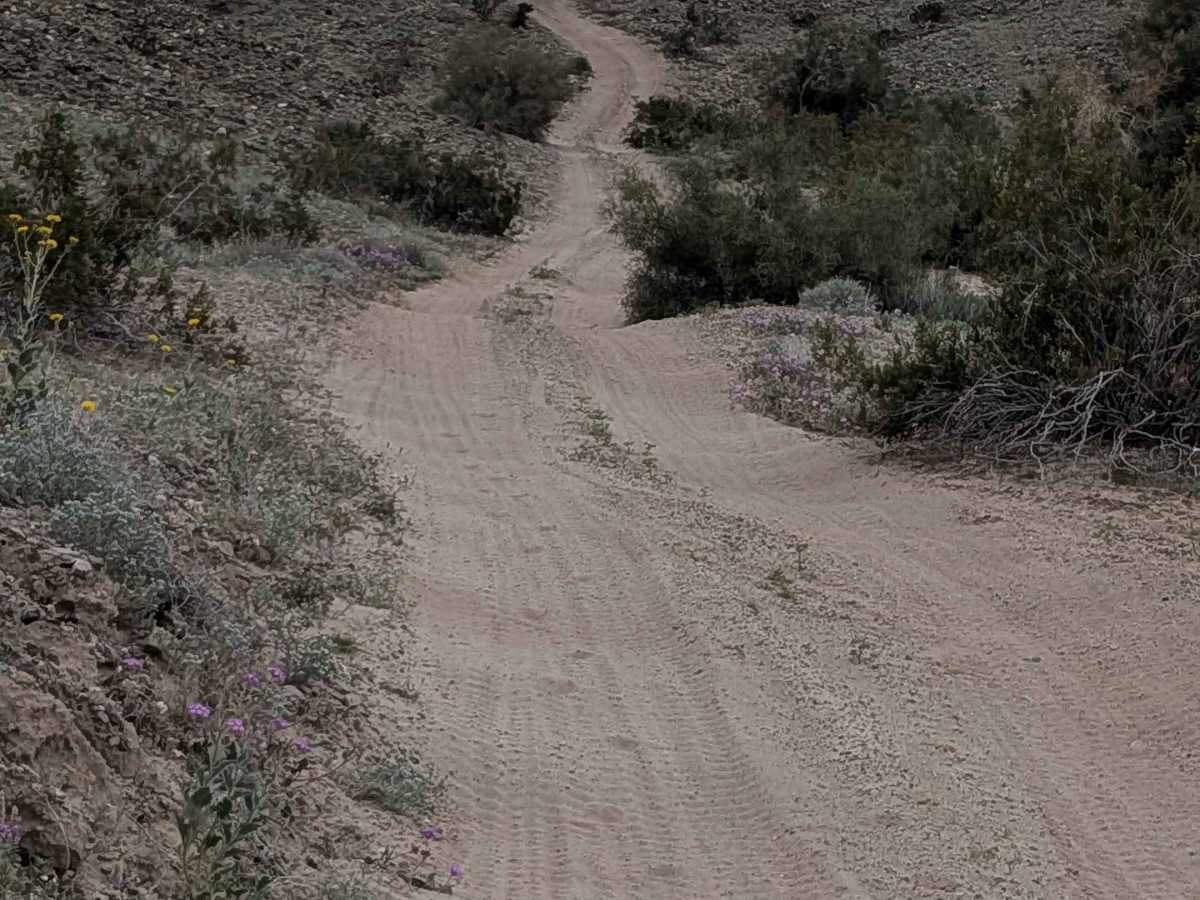 EC1220 trail photo