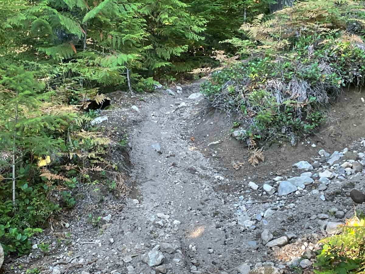 Skidder Skip photo 3