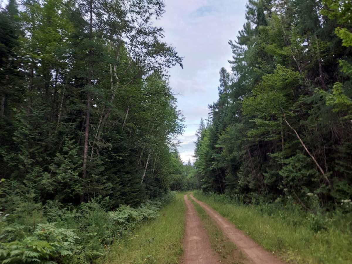 Truck Trail 1 photo 4