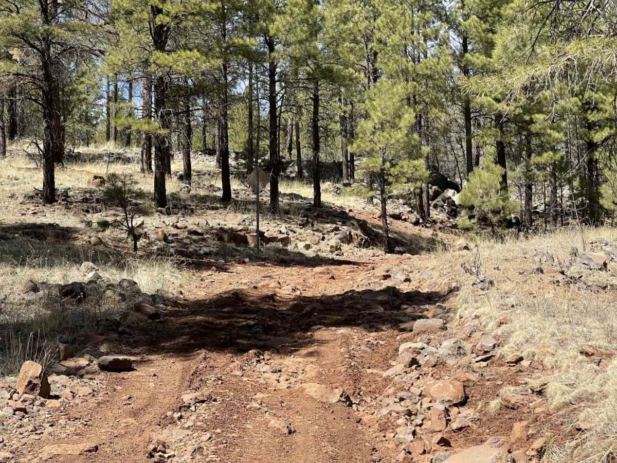 Little Rim Road photo 6