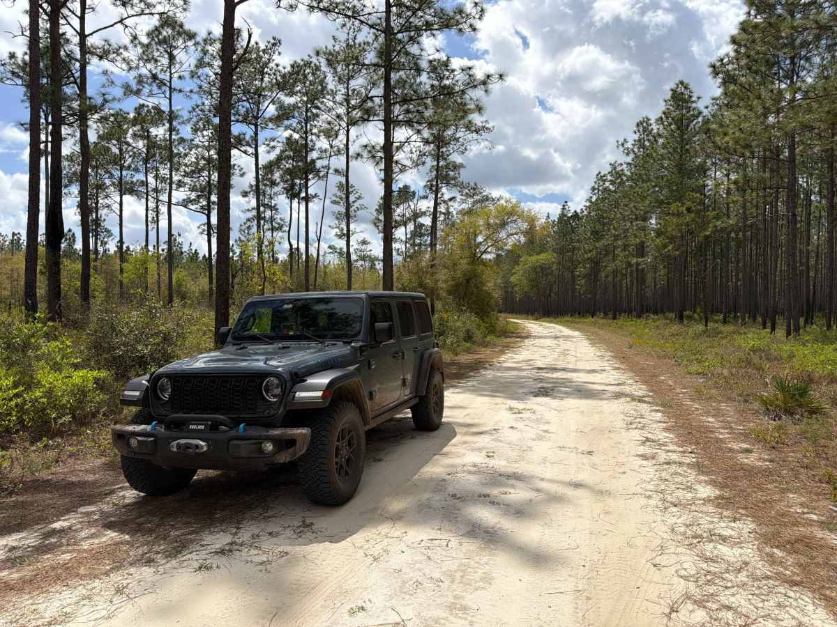High Hill Creek - FS 316 photo 6