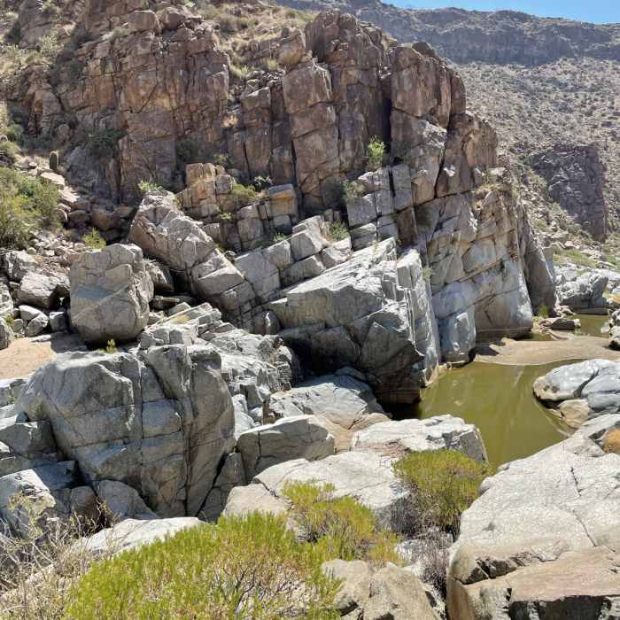 Near Badger Springs Wash Trail